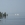 Gonchar_r